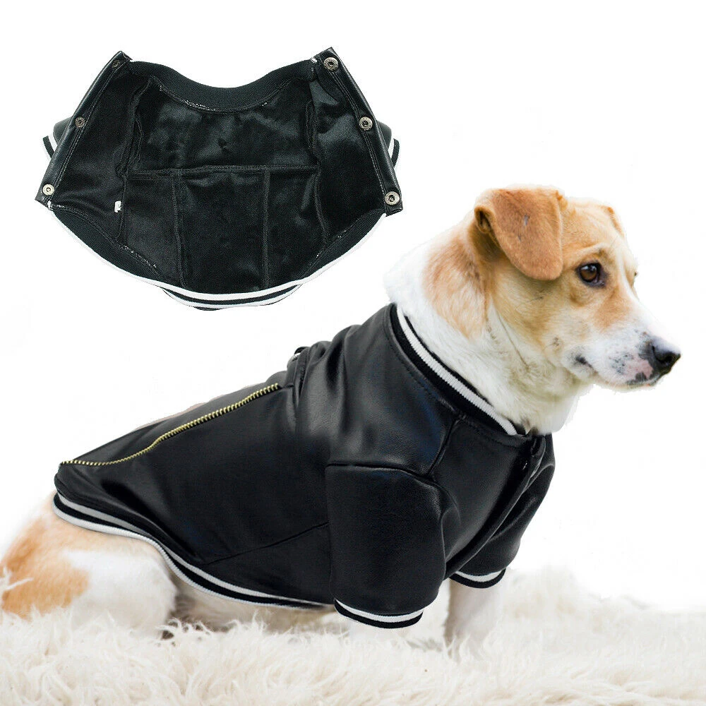 large dog leather jacket