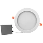 Round Panel Round Led Down Light Cutout 225mm 10 Inch Round Indoor 21w Led Panel Light Smart Adjustable Super Bright