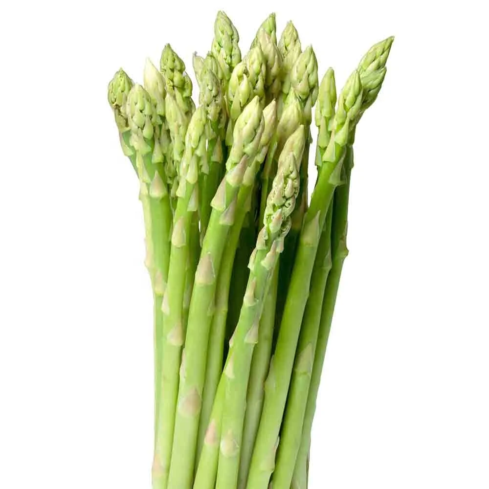 asparagus by air freight - buy asparagus thailand,fresh