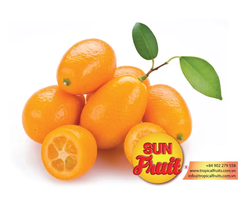 Кумкват Фото Фрукта Сушеного – Telegraph