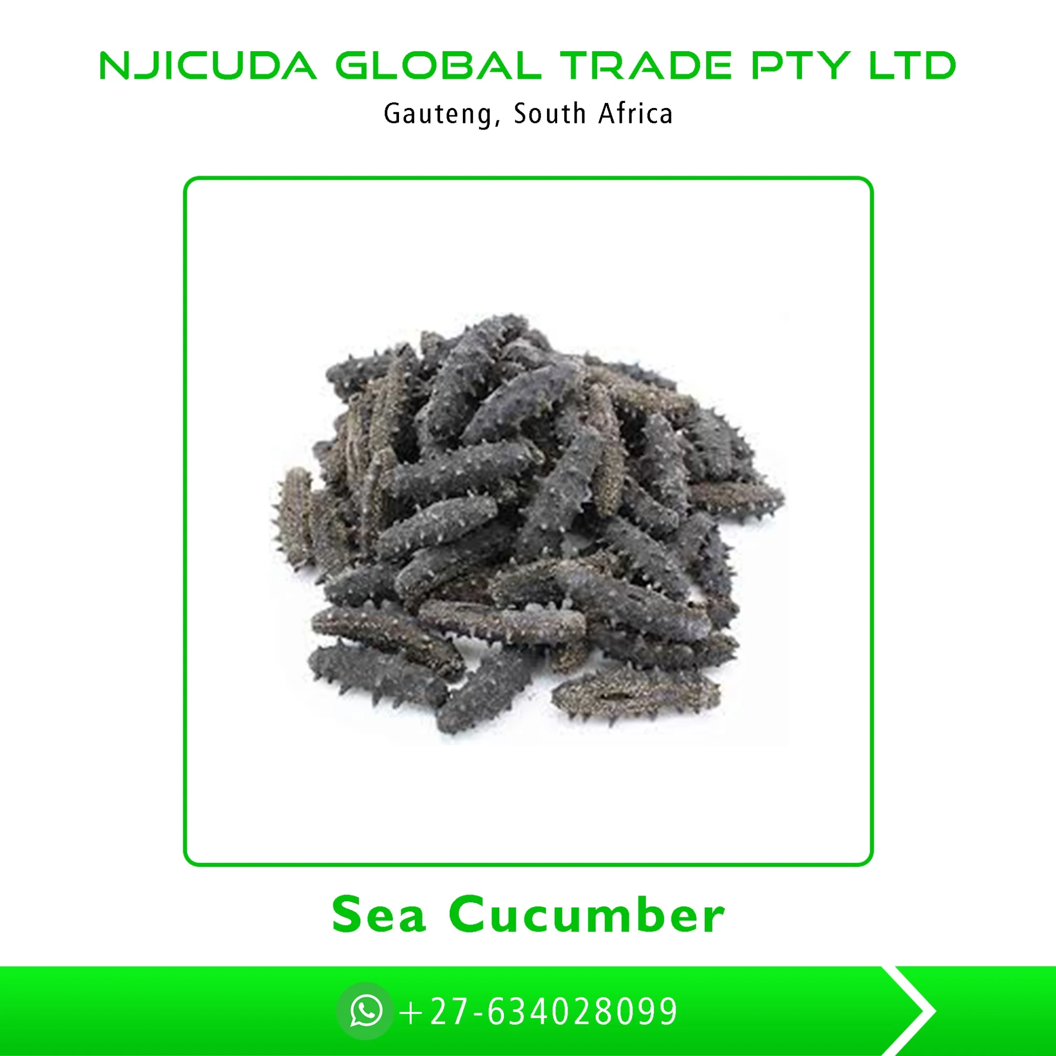 factory direct sale dried sea cucumber for sale