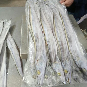 good quality frozen ribbon fish for sale