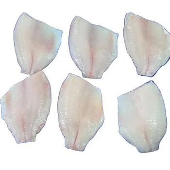 Frozen Fish Fresh Tilapia Supplier Block Bulk Style Packaging Package Weight Lbs Shelf Origin Thailand Shape BRC Product