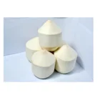 Premium Fresh Thai Coconut With Natural Sweet Flavour With GAP Certification From Thailand