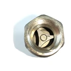 Check Check Check Valve BSPP BSPT NPT 1/2 Inch SS316 SS304 CF8 CF8M Thread Lift Check Valve With Screw