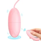 Sex Toy WholeSale Vibrationen Sex Toy Vibrating Egg Pink With Remote Vibrating Egg Dildo