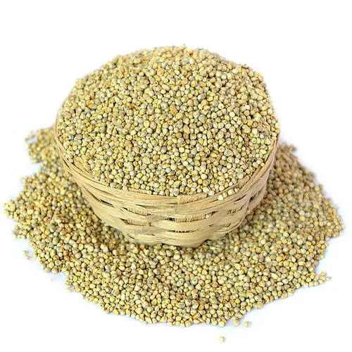 chinese yellow millet bird food small yellow rice finger millet