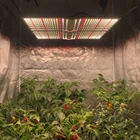 Samsung Lm301b Lm301h Lm561c Lm561h Lm281b Replace 100W CXB3590 Grow Light CXB 3590 3500K COB Led Grow Light
