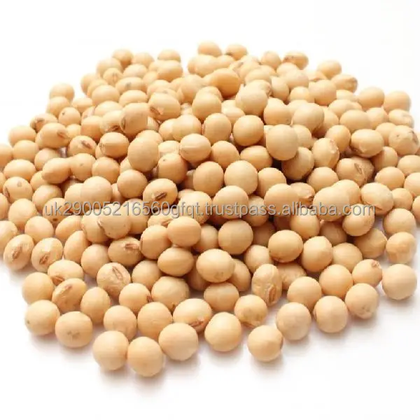 Premium Non GMO Soybeans.jpeg
