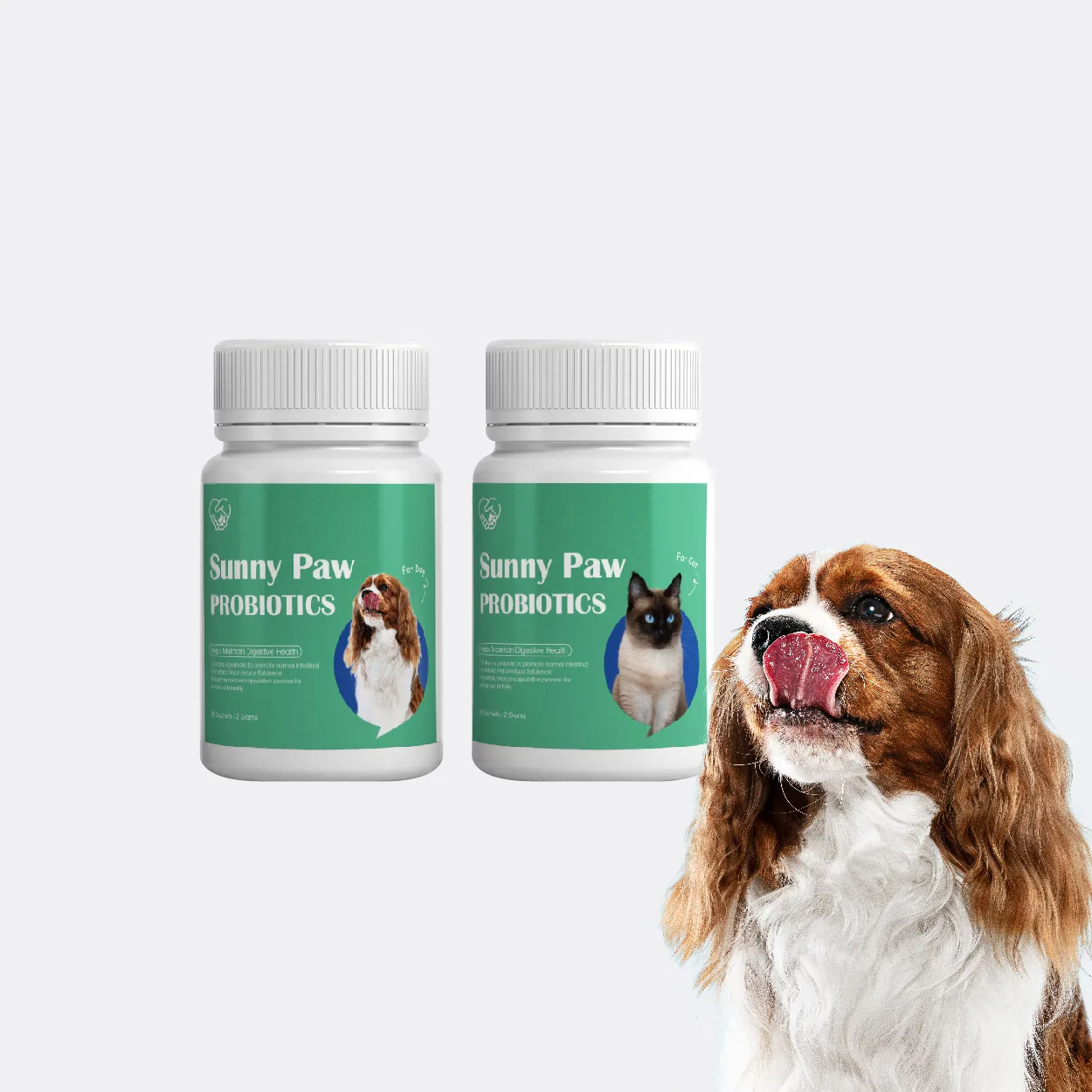 Top Quality Probiotic Supplement Pet Dog Nutrition Supplement Powder  Natural Active Ingredients - Buy Dog Nutrition Supplement Powder Natural  Active Ingredients,Probiotics For Pets Safe For Animal Essentials Plant  Enzyme & Probiotics Dog