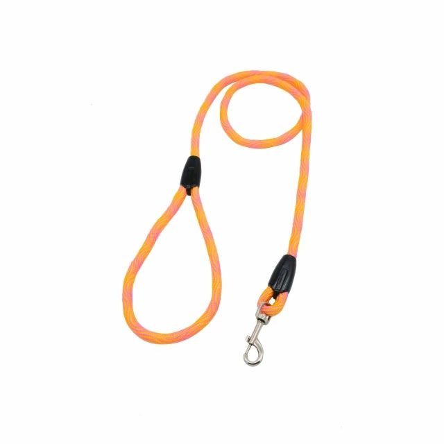 petco rope leash