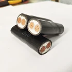 Power Cable 150mm Copper Cable 4mm 10mm 6mm 150mm 16mm 2 Core DC Shielded Copper Armoured Power Cable