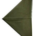 Scarves Fashionable Winter Soft Wool Scarf Shawl Fashionable Warm Wholesale Custom Army Green Wool Scarf With Fringe