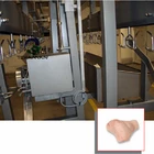 Chicken Cutter Chicken Chicken Processing Chicken Slaughterhouse Chicken Processing Plant Solution Quill Cutter