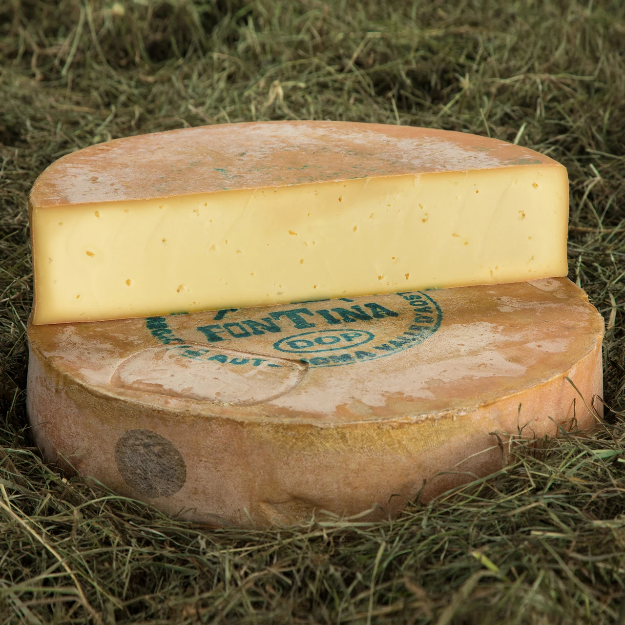 italian high quality dop fontina semi hard cheese - buy cheese