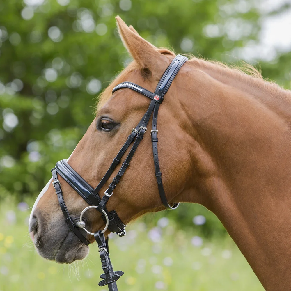 全颊马钻头黄铜马嘴钻头马不锈钢高品质马钻头