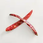 Chili 2020 Chinese Special Dried Chili Dry Chilies