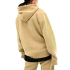 Custom High Quality Unisex Blank 100% Cotton Streetwear Pullover Wholesale Cut And Sew Hoodies Manufacturer