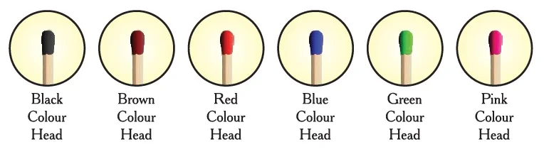 Color Head.jpg