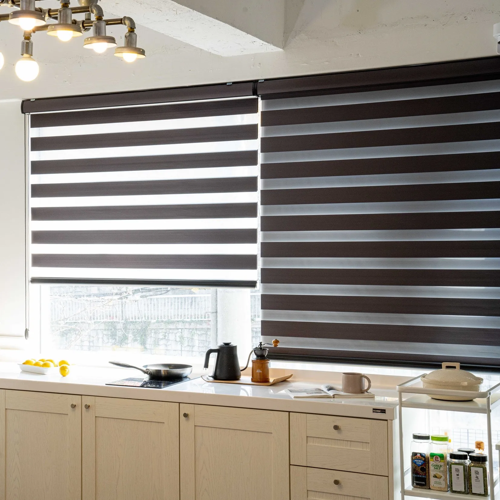 blackout zebra blinds