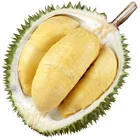 Premium Malaysia Fresh XO Durian - Sultan king