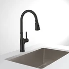 Luxury 304 Stainless Steel Kitchen Faucet Pull Out Kitchen Black Taps