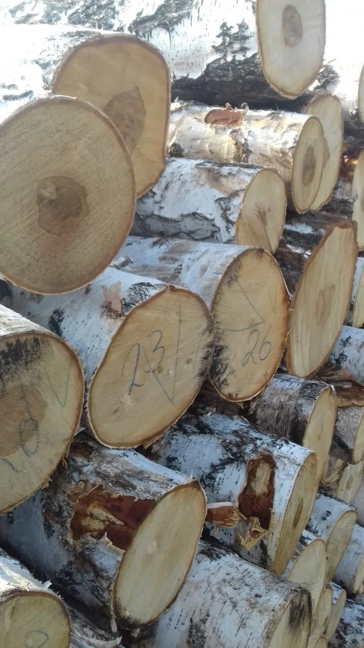 Hard Wood Sapelli / Bubinga / Tali / Iroko / Doussie / for sale