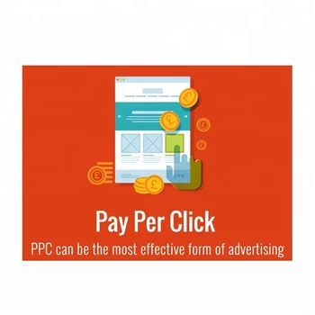 Google Premium Partner Company providing Professional Pay Per Click Services Since 1998