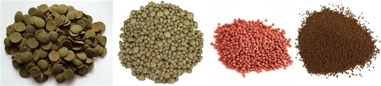 fish feed sample789