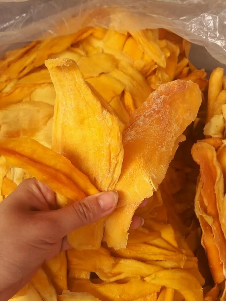 Top Quality Dried Mango Slice Tropical Fruit In Vietnam Cheap Price