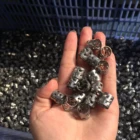 Ring Metal Packing Pall Ring