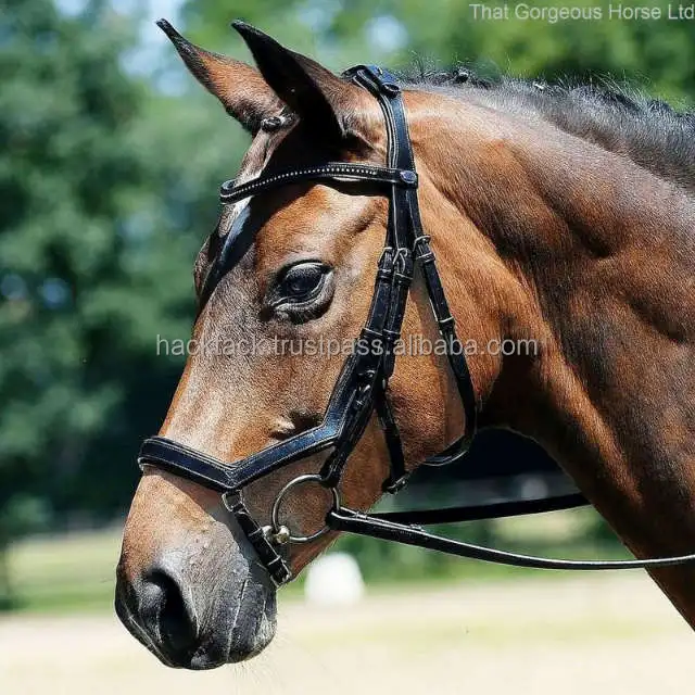 best high quality horse bridle with crystal brow band for horses