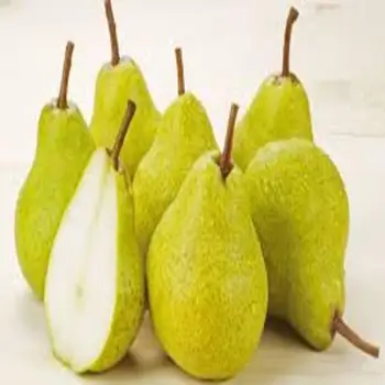 Fresh Pear for sale