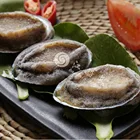 Abalone FROZEN ABALONE IN SHELL 30-40g/PCS FOR SALE