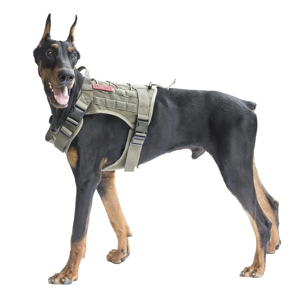 military dog jacket