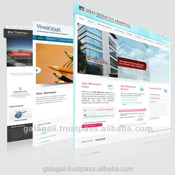 Bug Free Online Shopping Website Design and Ecommerce Website Development from India