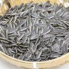 Wholesale Cheap Price Large Quantity Chinese Big Size Sunflower Kernels Seeds