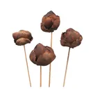 Pure Natural Material Tal Fruit Stick Bulk Dried Potpourri