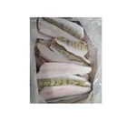 Premium quality natural organic 20-40 gr frozen pike perch fillet from manufacturer in bulk for sale