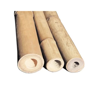 High Quality Bamboo Poles And Sticks For Construction Work and Home Decor (Lee Tran: +84987731263)