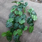 Green Hot Sale Silk Eucalyptus Leaves Vertical Artificial Grape Vine Leaves Hanging Green Garland Ivy