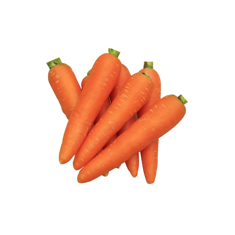 Carrots 18.jpg