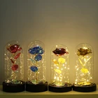 Rose Artificial Flowers Eternal Rose Preserved Flower LED String Light In Glass Dome With Atmosphere Music