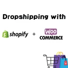Electronic Agent Drop Shipping Agent Dropshipping Electronic Sourcing Company Dropshipping Agent To Australia