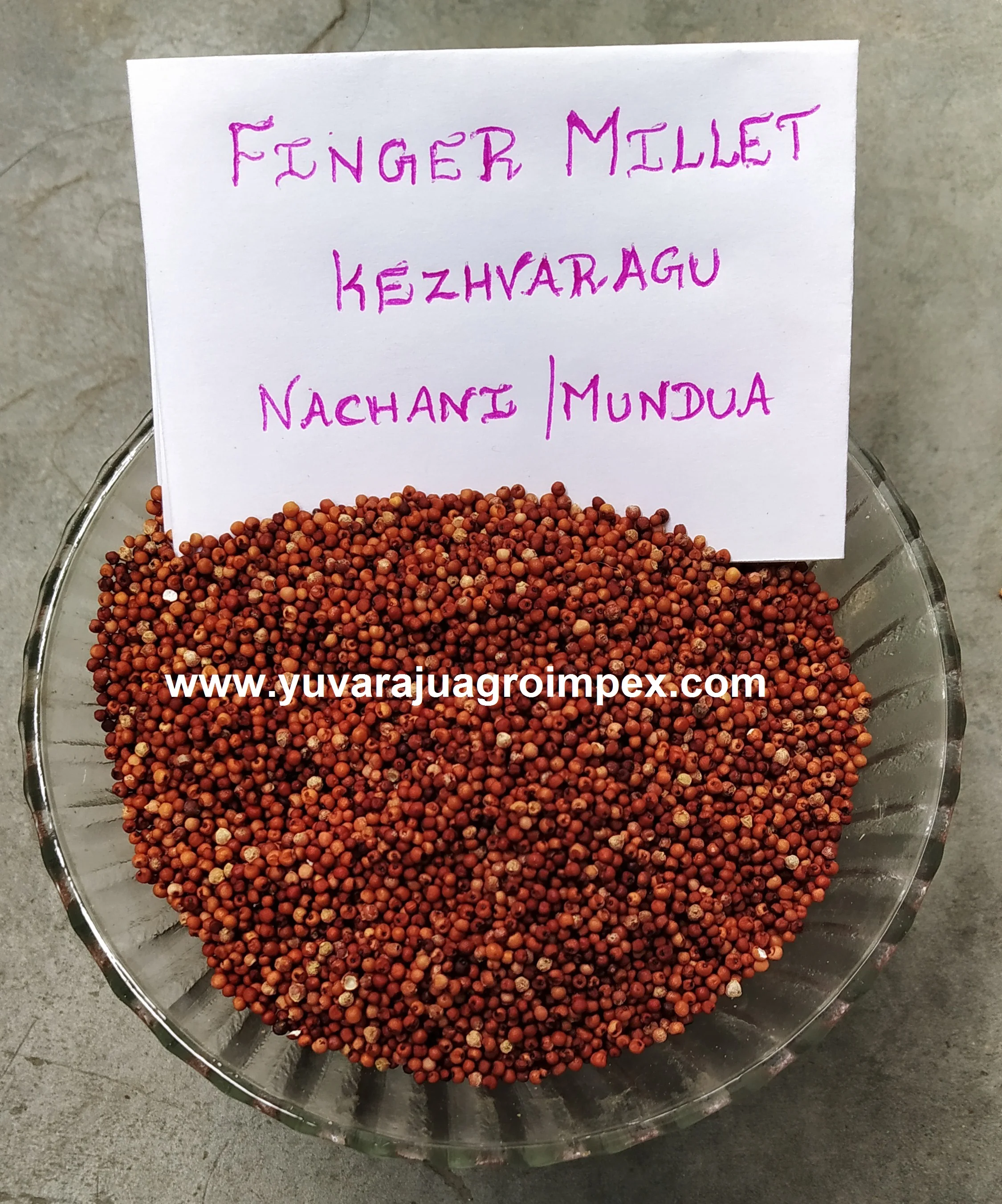 best price ragi/finger millet price for best quality