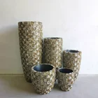 Sea Shell Sea Shell Planters Mother Of Pearl Big Shell Vase