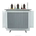 Outdoor 3 Phase Pole Mounted 11KV 33KV Oil Immersed Transformer 50KVA 100KVA 200KVA 300KVA