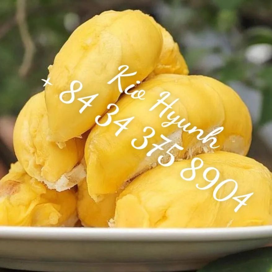 Premium Quality Frozen Durian Fruit Monthong From Vietnam Ms Kio Hyunh