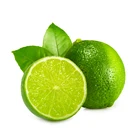 Wholesale High Quality 100% Natural Sour Fresh Seedless Lime Lemon Rich In Nutrients From Vietnam
