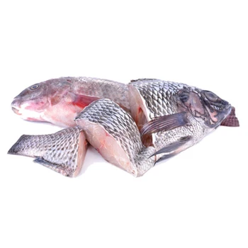 Wholesale Frozen And Fresh Fish Basa Frozen Pangasius Fillet